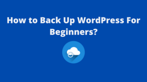 Read more about the article How to Back Up WordPress For Beginners?