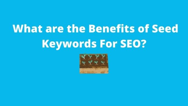 benefits-of-seed-keywords
