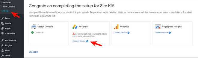 site-kit-connect-service