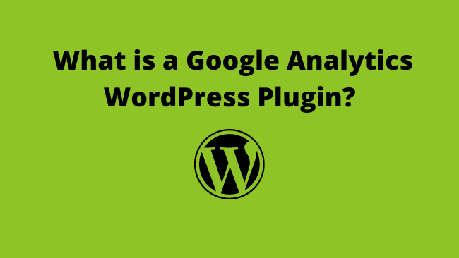 what-google-analytics-wordpress-plugin