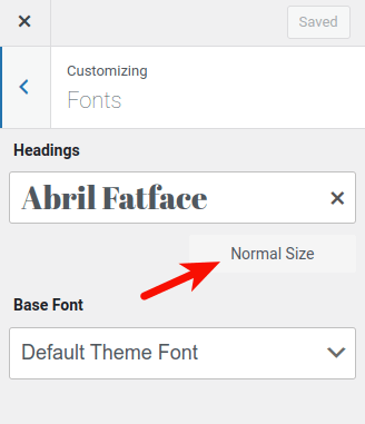 adjust-wordpress-font-size