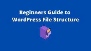 Read more about the article Beginner’s Guide To WordPress File Structure And Directories