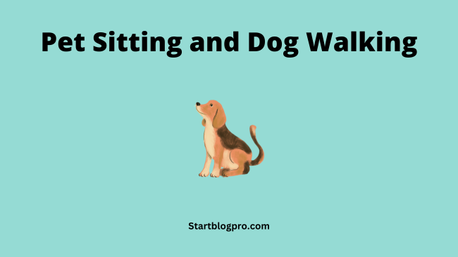 Pet Sitting and Dog Walking