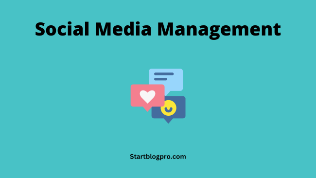 Social Media Management