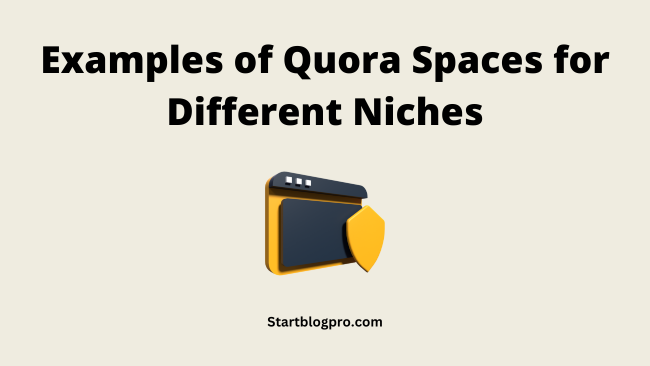 Examples of Quora Spaces for Different Niches